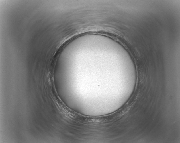 X0000052971497200508051001