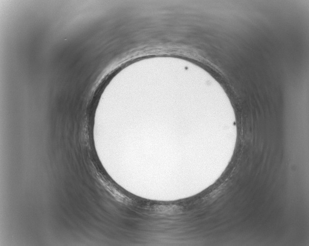 X0000052971498200508051001