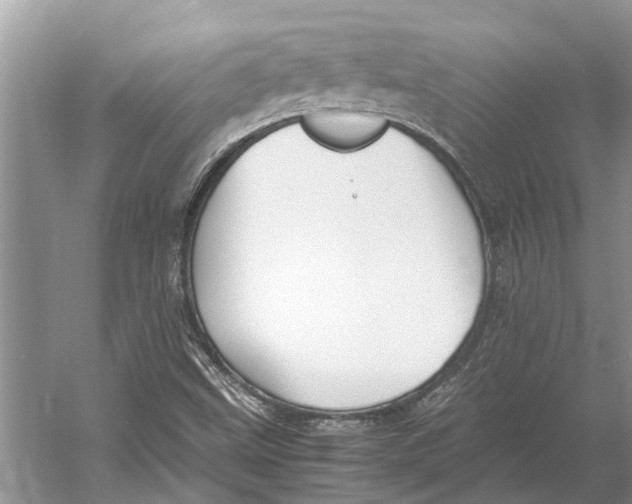 X0000052971499200508051001