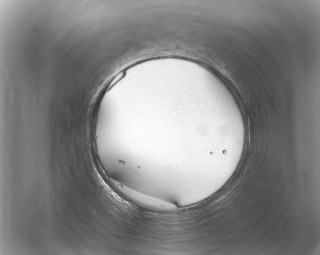 X0000052971500200508051001