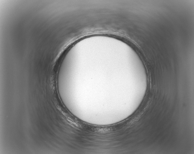 X0000052971501200508051001