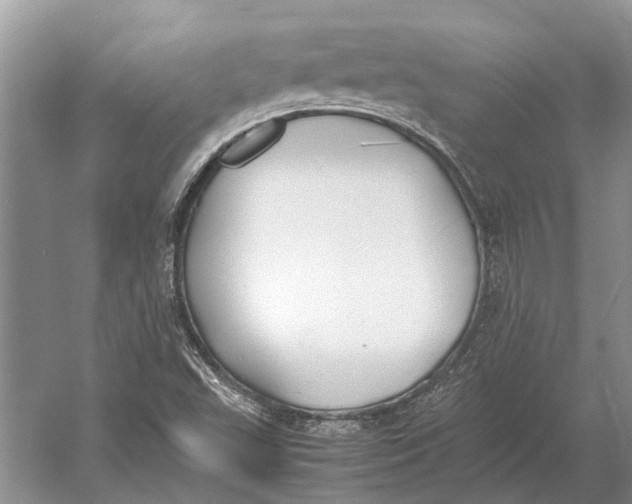 X0000052971503200508051001