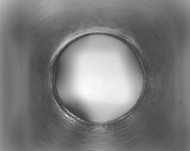 X0000052971504200508051001