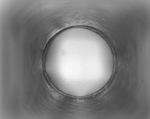 X0000052971505200508051001