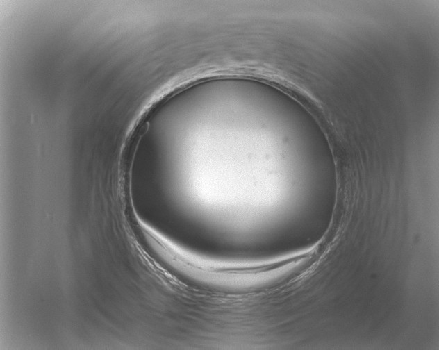 X0000052971506200508051001