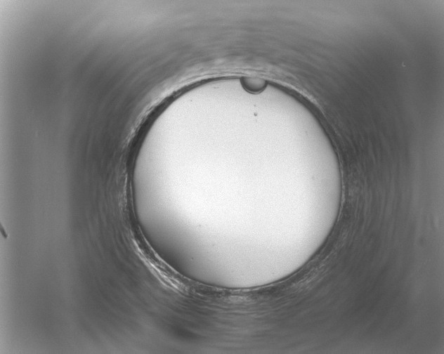 X0000052971507200508051001