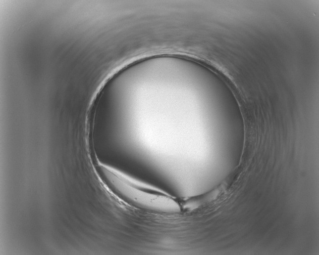 X0000052971508200508051001