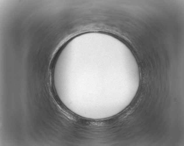 X0000052971509200508051001