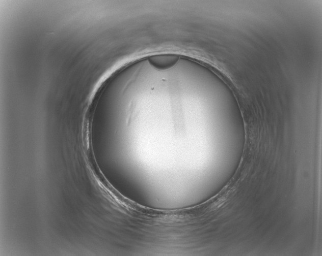 X0000052971510200508051001