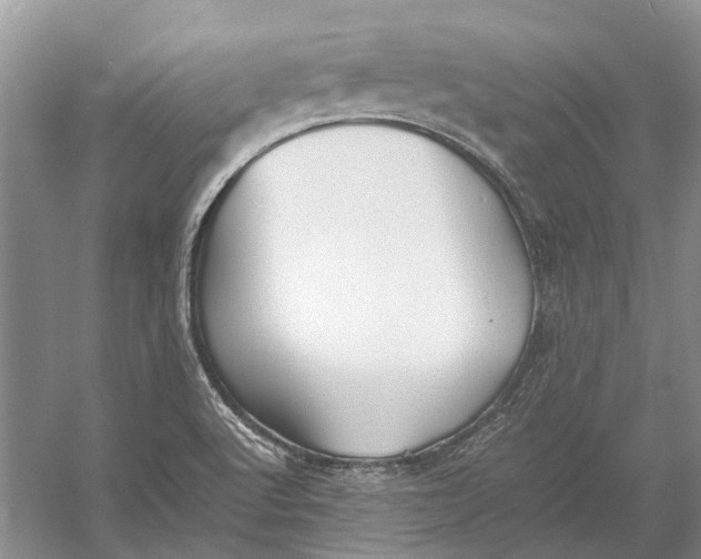 X0000052971512200508051001