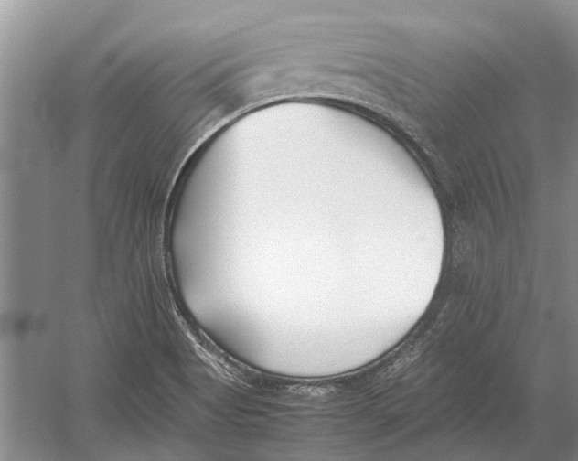 X0000052971513200508051001