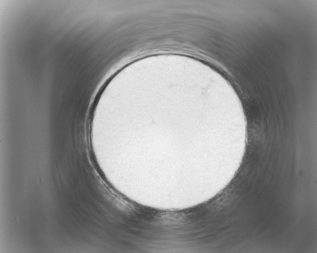 X0000052971514200508051001