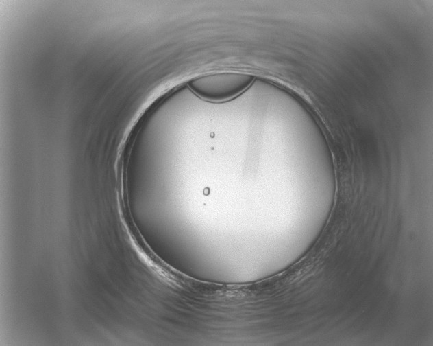 X0000052971515200508051001