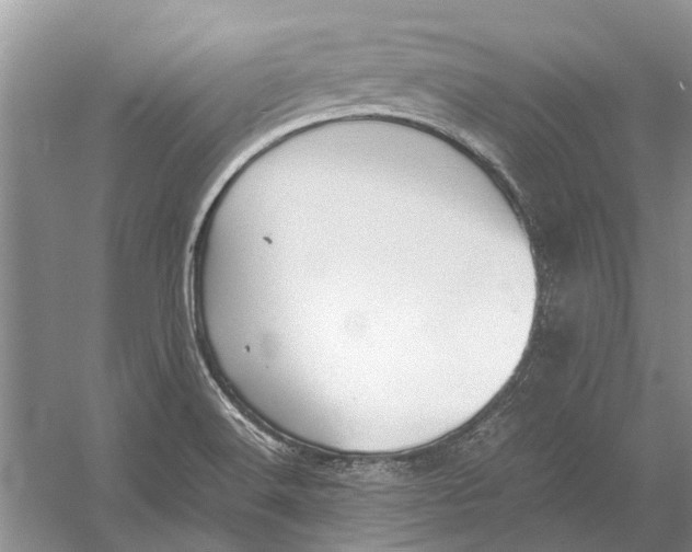 X0000052971516200508051001