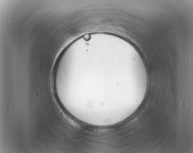 X0000052971517200508051001