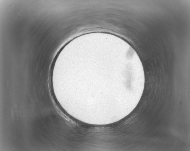 X0000052971518200508051001