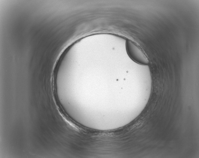 X0000052971519200508051001