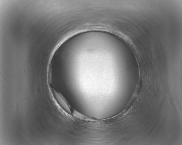 X0000052971520200508051001