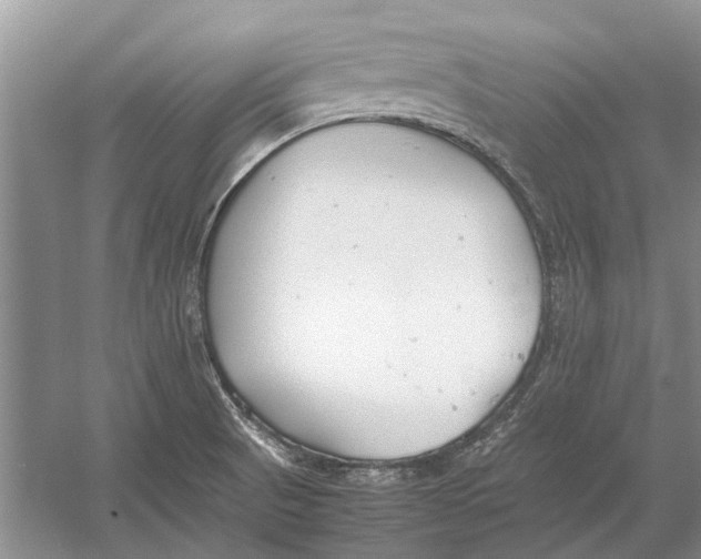 X0000052971521200508051001