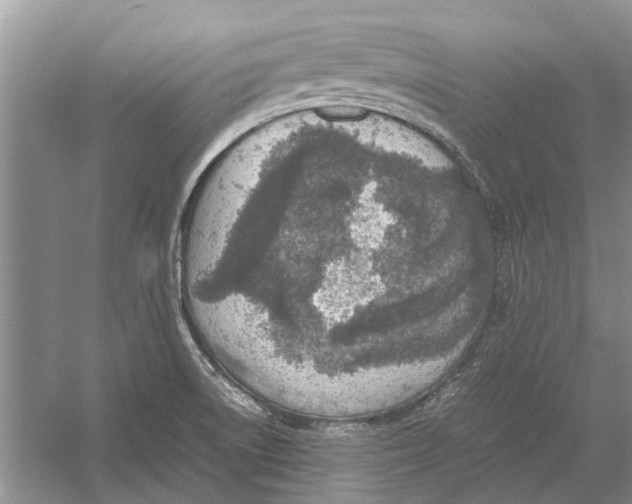 X0000052971522200508051001