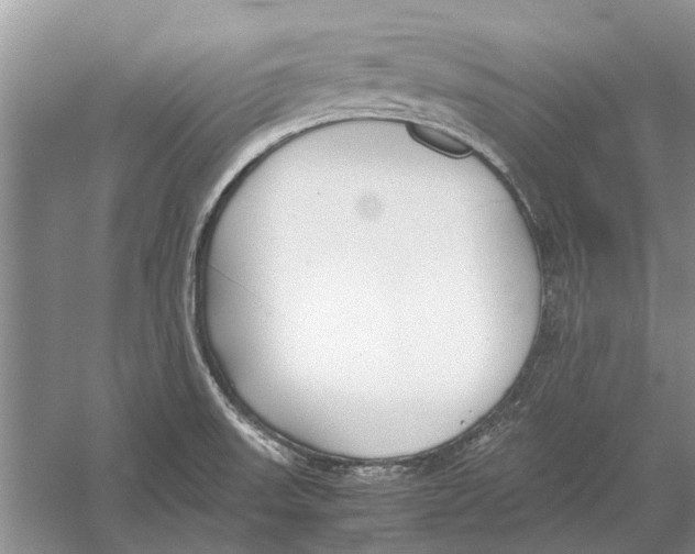 X0000052971523200508051001