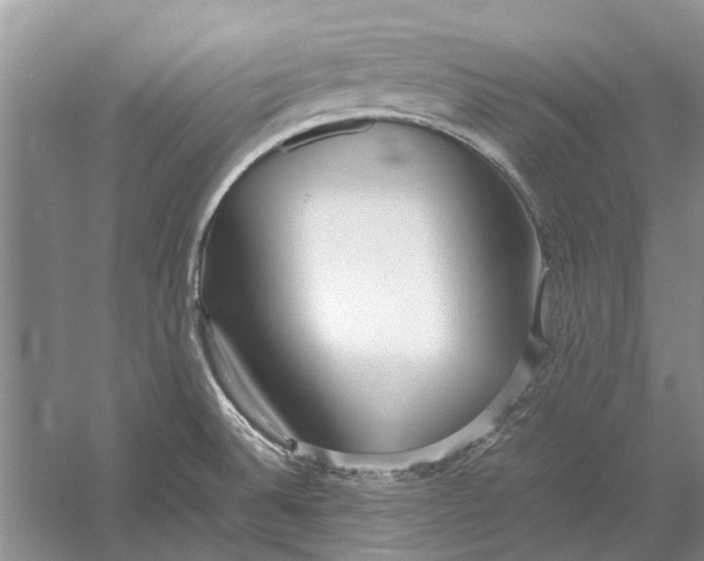 X0000052971524200508051001