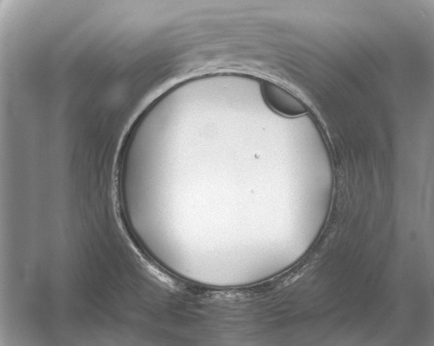 X0000052971525200508051001