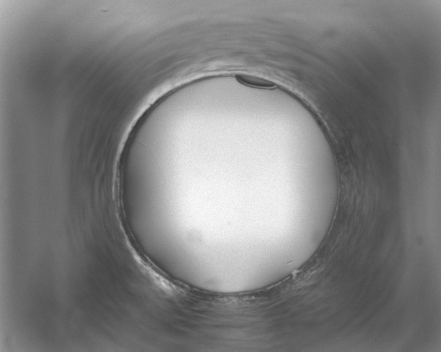 X0000052971527200508051001