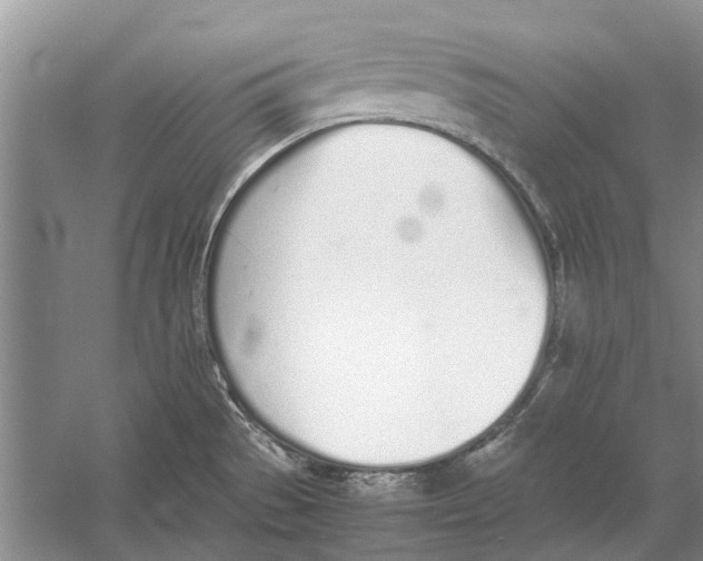 X0000052971529200508051001