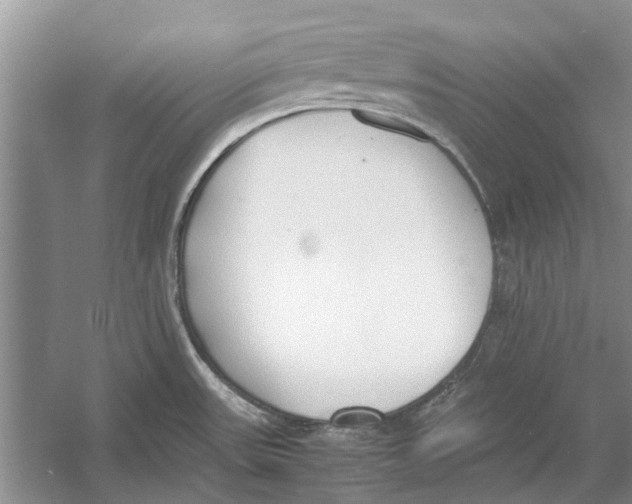 X0000052971531200508051001