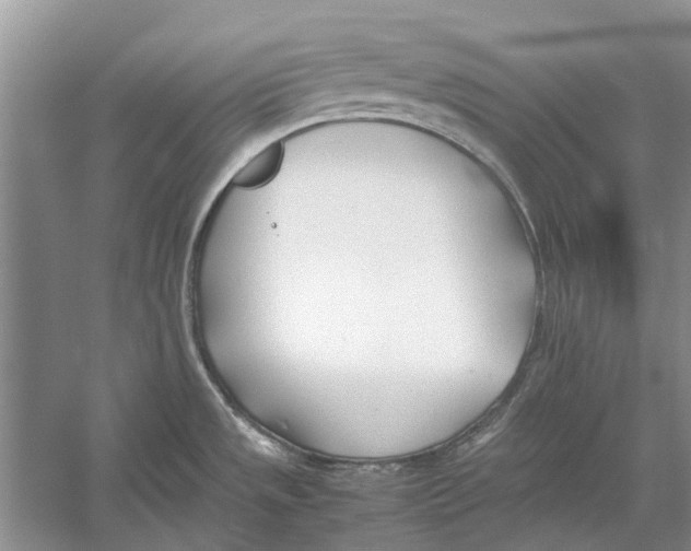 X0000052971533200508051001