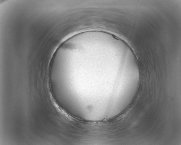 X0000052971534200508051001