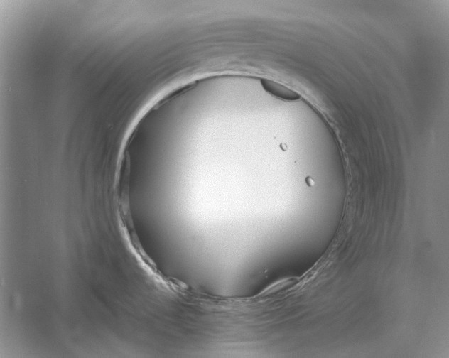 X0000052971536200508051001