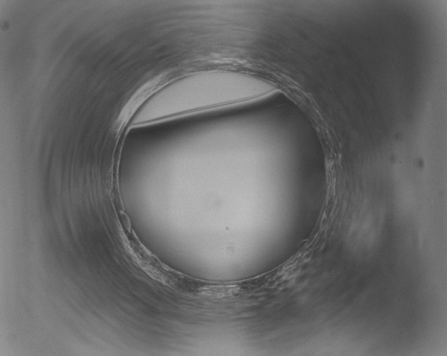 X0000052980051200507080906