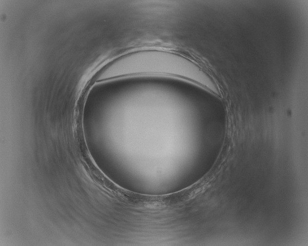 X0000052980344200507080902