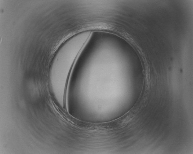 X0000052980434200507080900