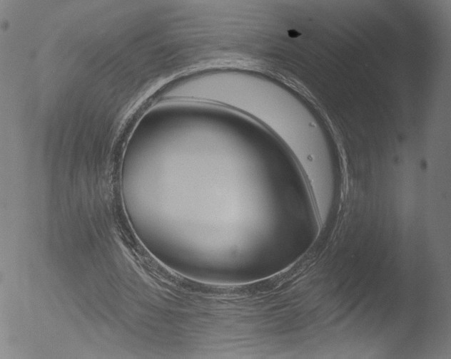 X0000052980436200507080900