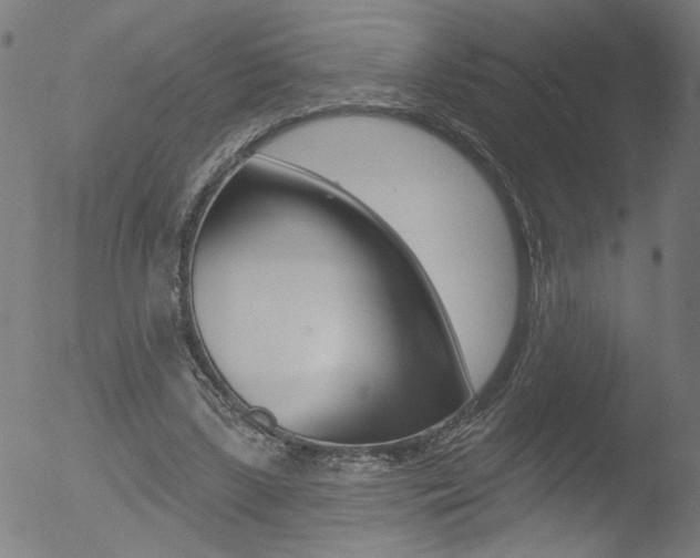 X0000052980443200507080900