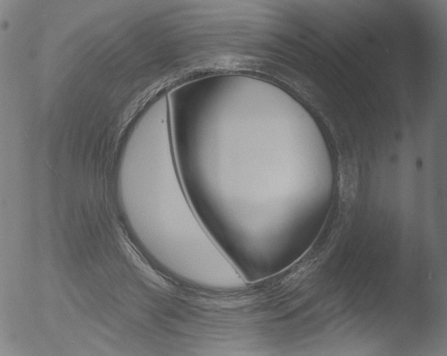 X0000052980445200507080900