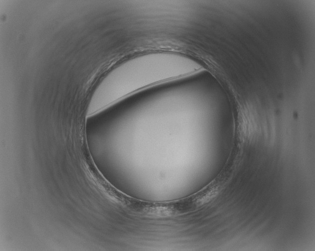 X0000052980449200507080900