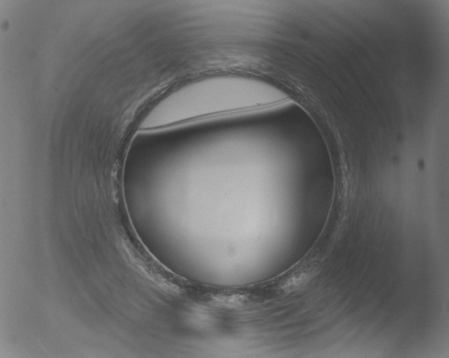 X0000052980450200507080900