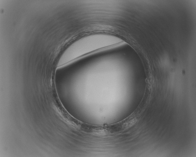 X0000052980454200507080900