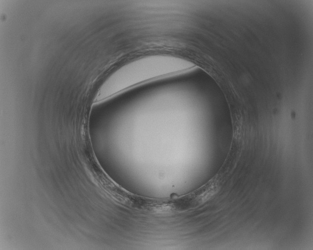 X0000052980456200507080900