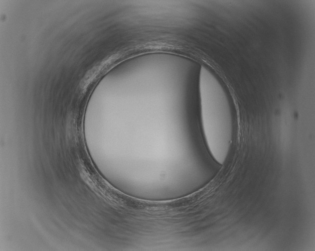 X0000052980482200507080900