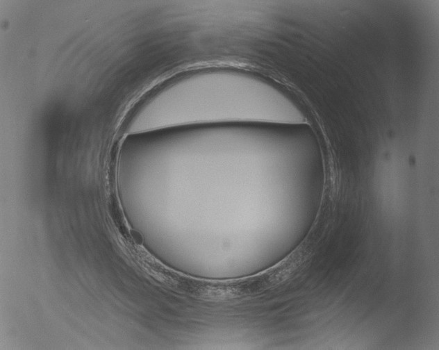 X0000052980487200507080900