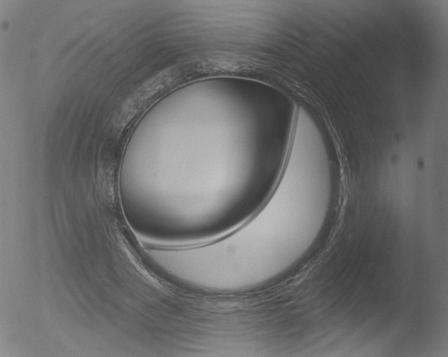 X0000052980489200507080900