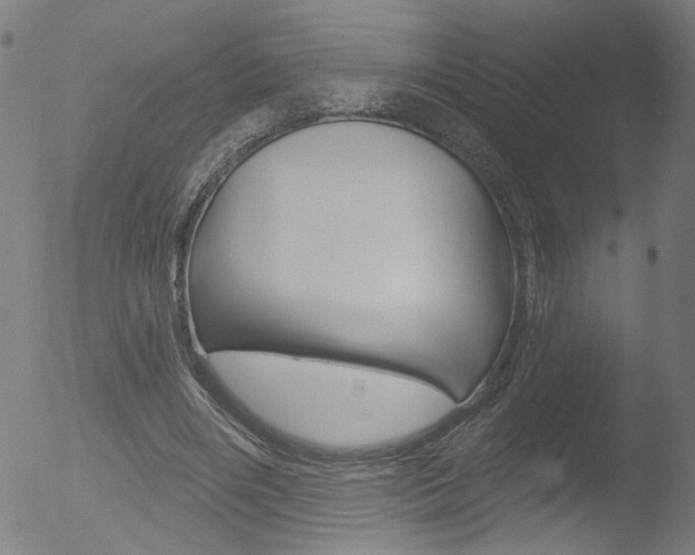 X0000052980490200507080900