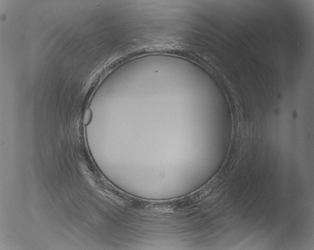 X0000052980491200507080900