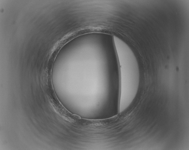 X0000052980492200507080900