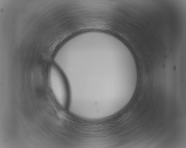 X0000052980495200507080900